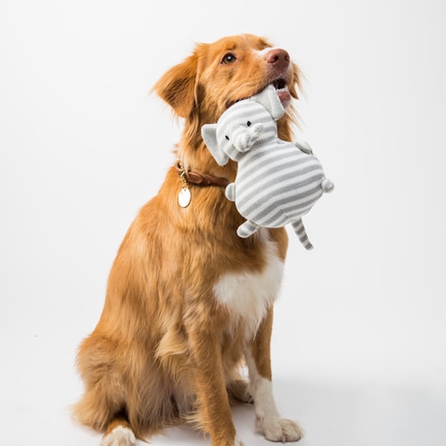 Soft Plush Squeaky Dog Toy